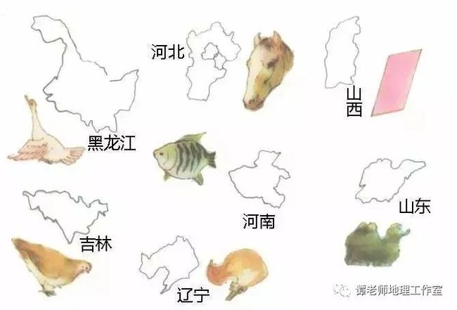 记忆口绝中国地图像雄鸡,金鸡独立喔喔啼新疆西藏是鸡尾,青甘宁川①