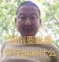 giao哥 表情包