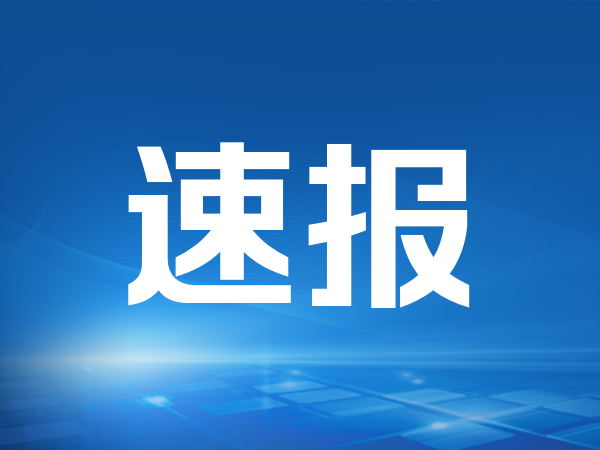 半导体板块拉升 新恒汇涨逾13%
