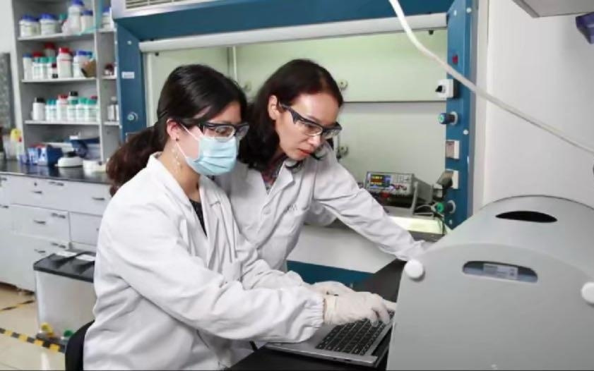 华理团队直面临床需求：胶原蛋白“造”角膜、口腔膜