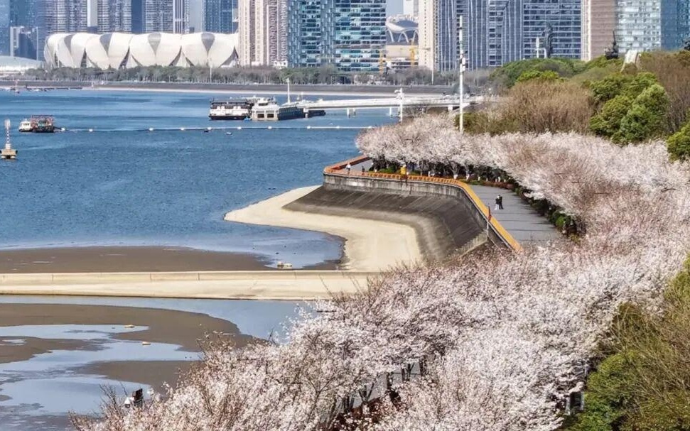 你的下一只龙虾何必是龙虾，这套大厂开源方案有点意思