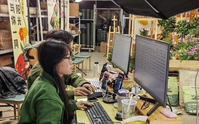 迎战“双十一”：农创客助直播电商成浙江乡村“常态”