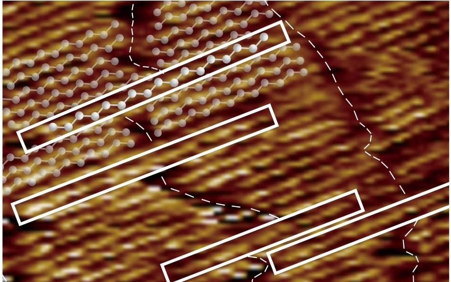我国学者在蛋白质相互作用中发现“榫卯”结构