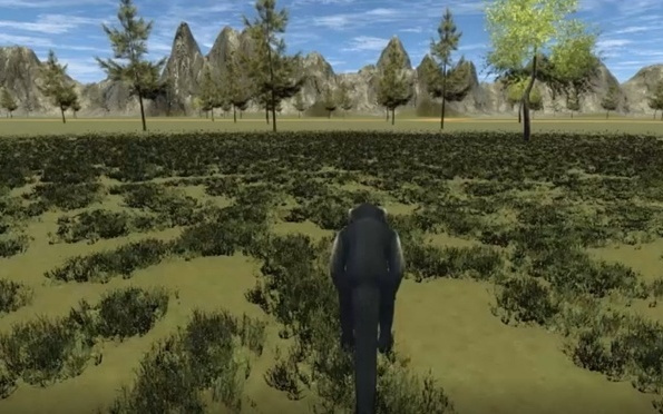 脑机接口新突破：猴子仅凭意念在VR世界中自由移动