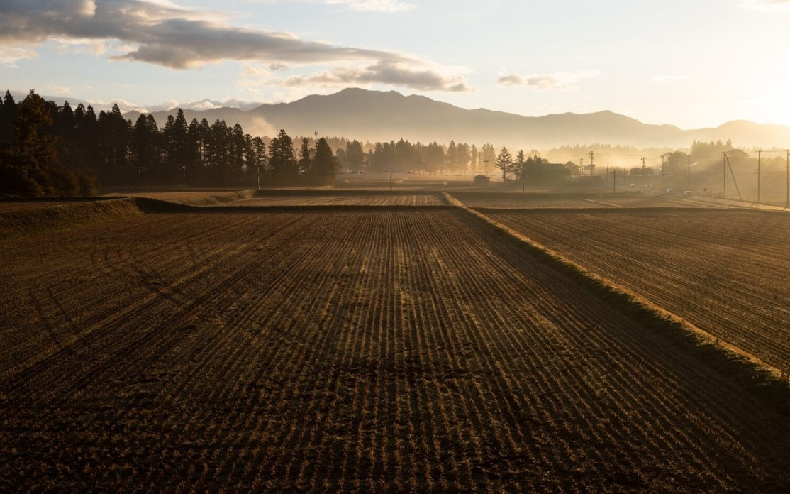 相机镜头大厂适马官宣进军农业市场，种水稻大米