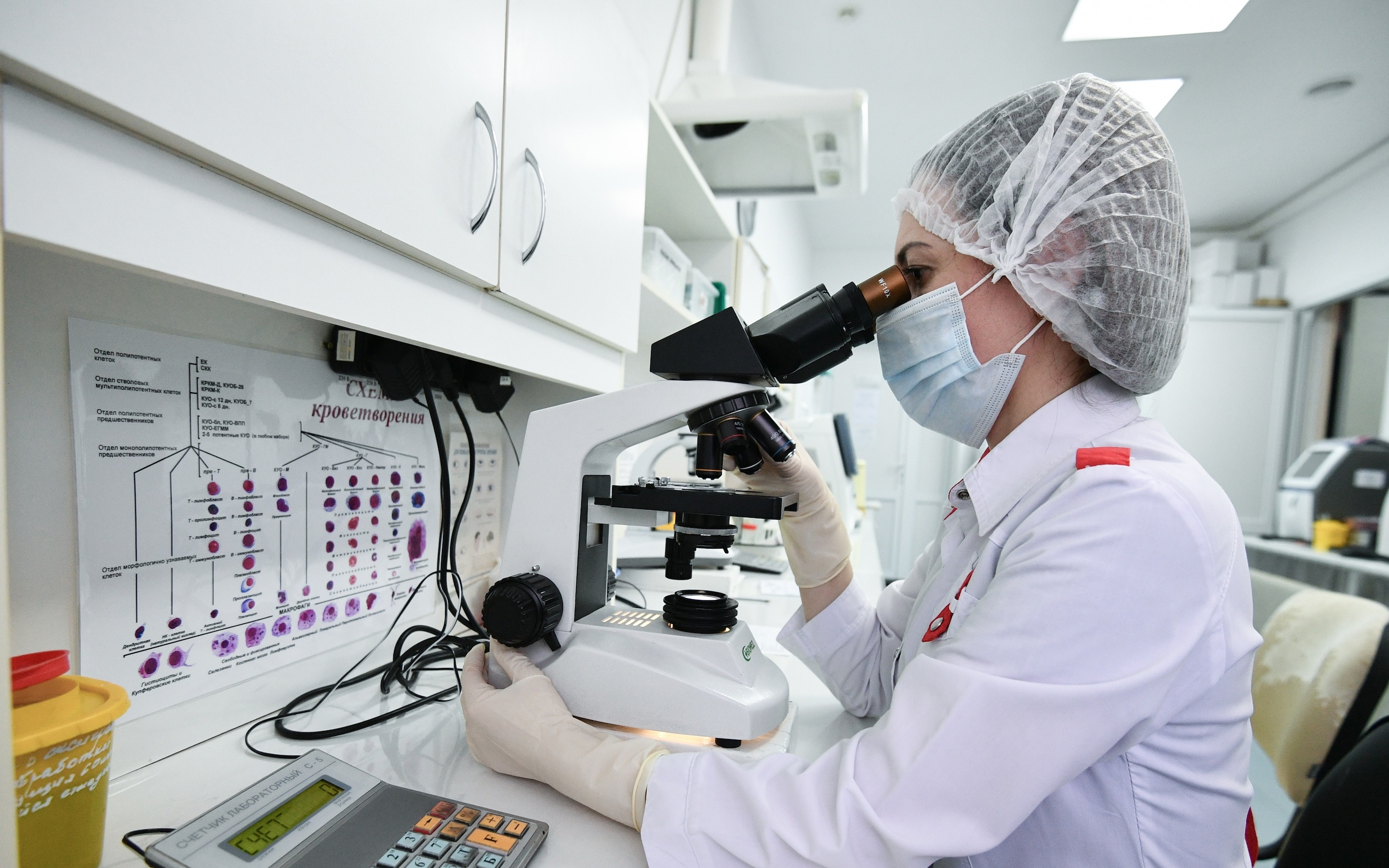 俄罗斯启动生物经济国家项目