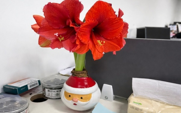 新春走基层｜无界启航为盲人研发智能产品，团队持续加班保障订单交付