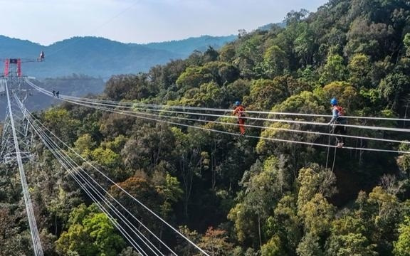 上海企业春节刚开工就收到“绿色红包”,3.5亿度绿电直送长三角创历史之最