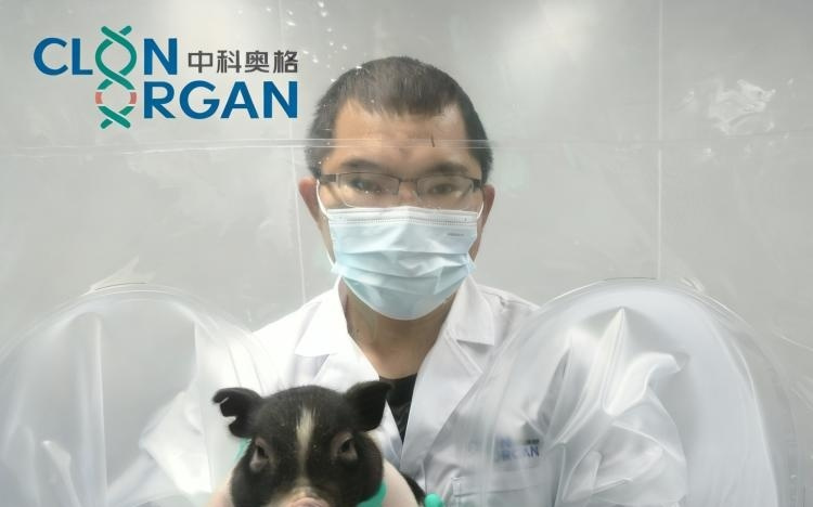 2025年度“中国科学十大进展”发布 成都高新区医药健康成果入选