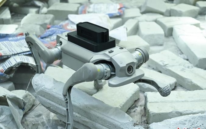 探营杭州国际具身机器人场景应用大赛
