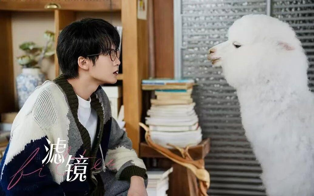 洗脑广告折磨网友，发转转的网红博主我想取关了