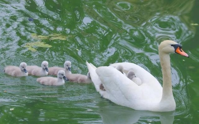 2026中国网络媒体论坛落地郑东新区，彰显创新活力