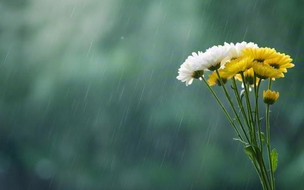 上海半导体产投创始人朱旭东去世，享年62岁