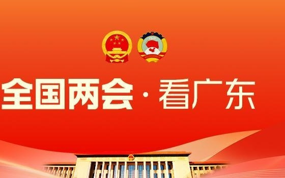 明星分身六个直播间却非本人？全国人大代表钟铮建言AI治理