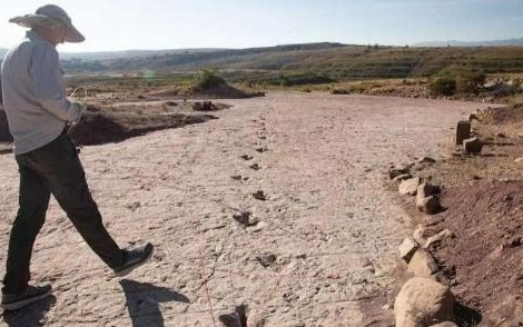 数量惊人，玻利维亚一遗址发现1.66万枚恐龙足迹