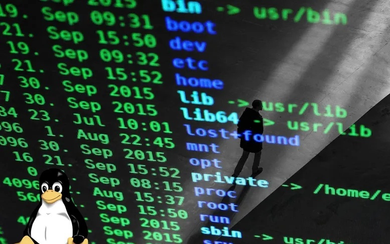 Linux定了！AI生成代码能用，责任这么算