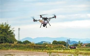 稻田里的AI故事（经济聚焦·农田里的新鲜事）