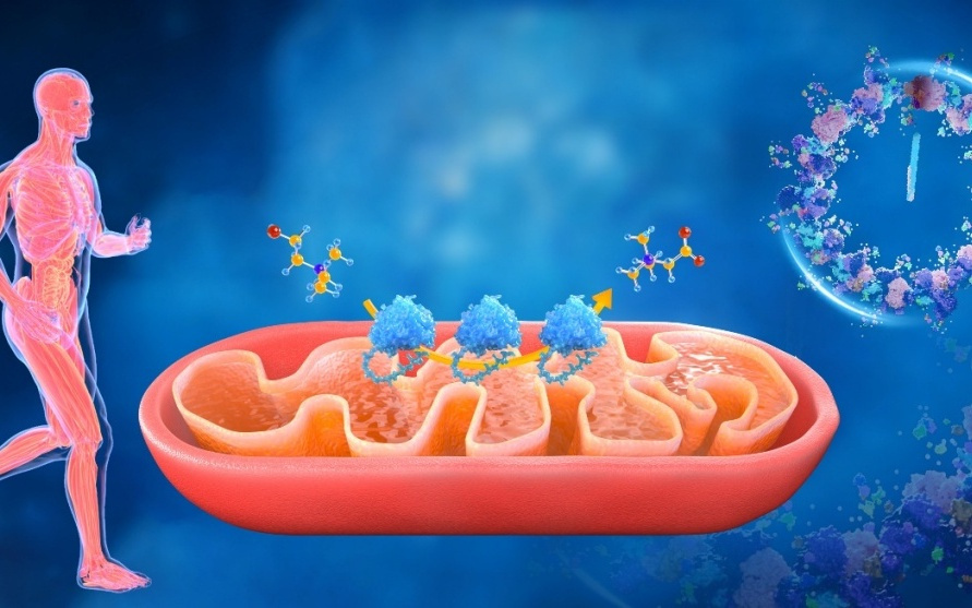 2025年度“中国科学十大进展”发布