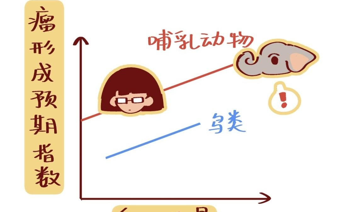 来自深海的“抗癌秘籍”：自带“DNA修复引擎”的“长寿冠军”