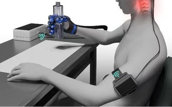 脑机接口之城，上海底气何来？