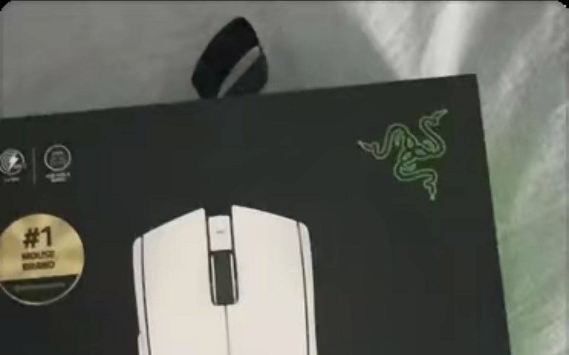 雷蛇毒蝰V4专业版鼠标包装曝光，炼狱蝰蛇V4专业版同款接收器