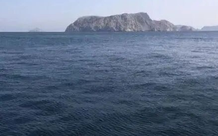 宇树称打破人类1500米世界纪录！数据公布