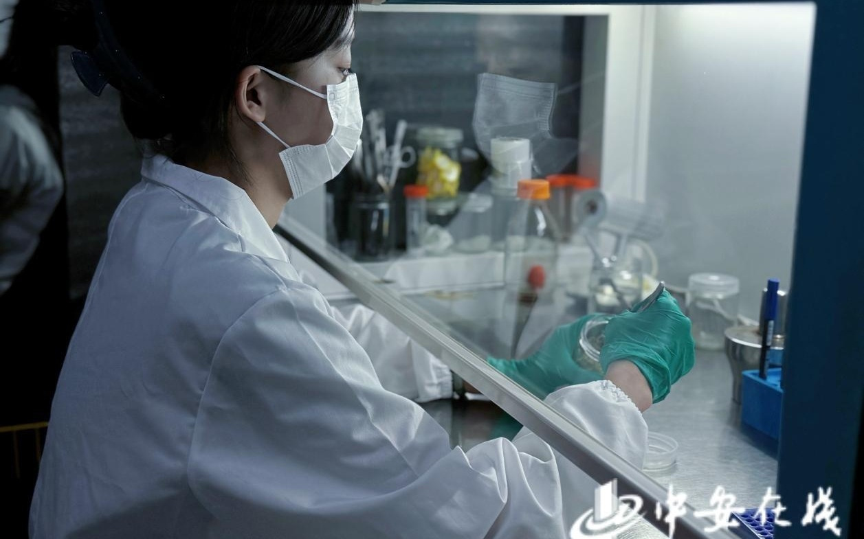 科创新就业 | 生物工程技术人员：自然密码的“翻译官”
