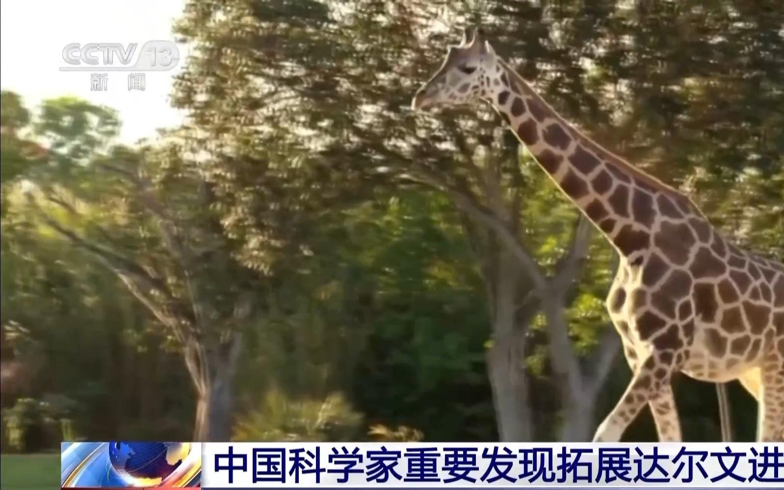 中国科学家重要发现拓展达尔文进化论框架