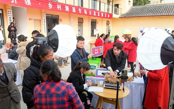 鄉村院壩變身直播間 川貨電商節公益直播“帶貨”忙