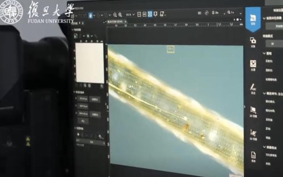 中国研制纤维芯片成果再登顶刊！“头发丝里实现大规模集成电路”