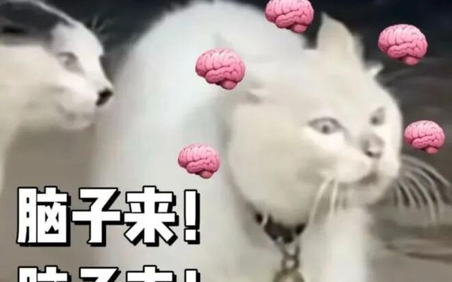 啥？每天闻闻这种味道，就能让大脑变年轻？！