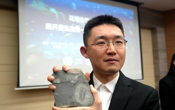 湘西山村修路挖出全球顶级“化石宝库”,发现数十个新物种