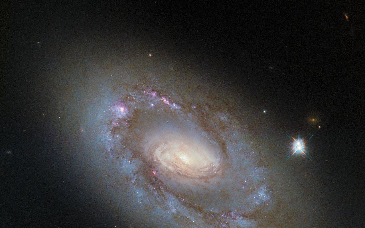 每周天文大片：哈勃聚焦 5600 万光年外、“长相奇特”的旋涡星系