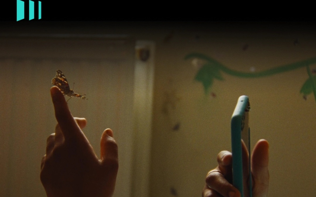 手机全面涨价，这回有得等了