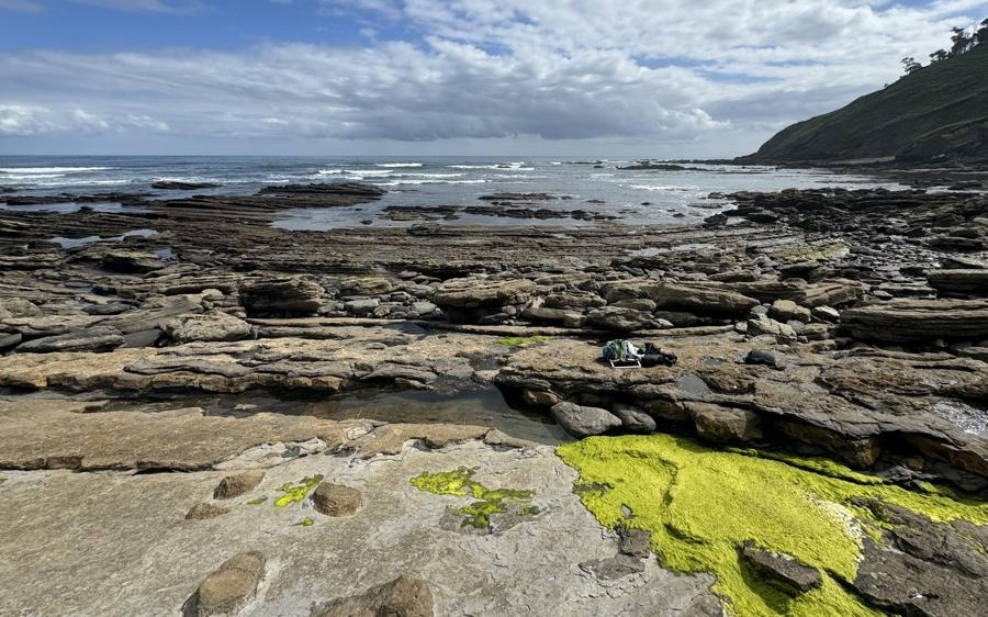 1.5亿年前蜥蜴怎么走路？中国学者复现欧洲首例侏罗纪蜥蜴行迹