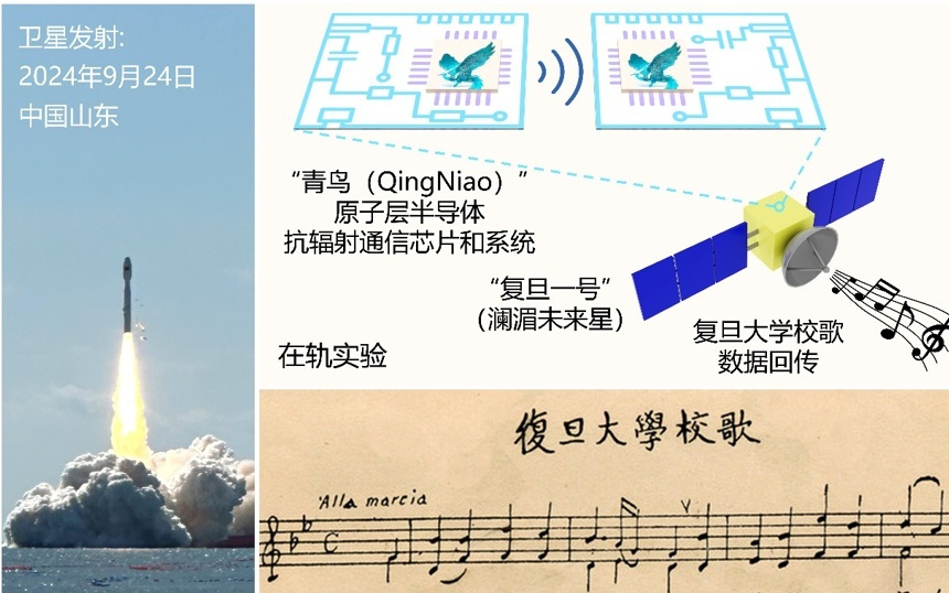 这片二维半导体芯片竟然可以不惧宇宙辐射！复旦“青鸟”系统飞上太空