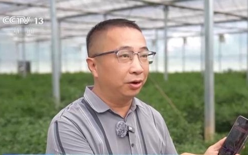 法治在线丨9月1日起 这些AI内容必须打标识