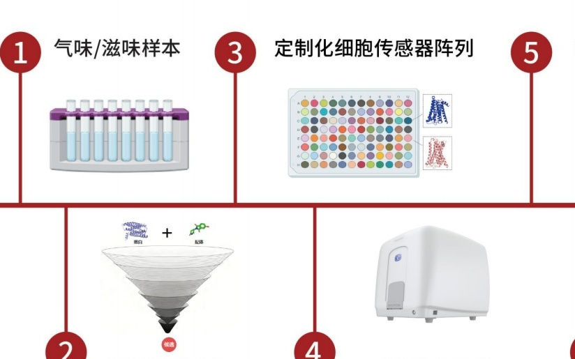 2026中关村论坛|让机器也能 “闻香识味”,汉王科技解锁仿生嗅觉技术产业化路径