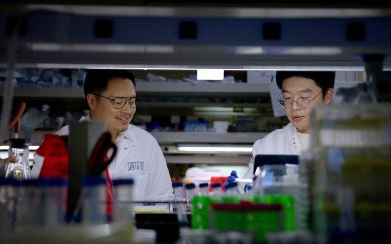新型生物传感器问世：使用手机即可检测皮质醇水平