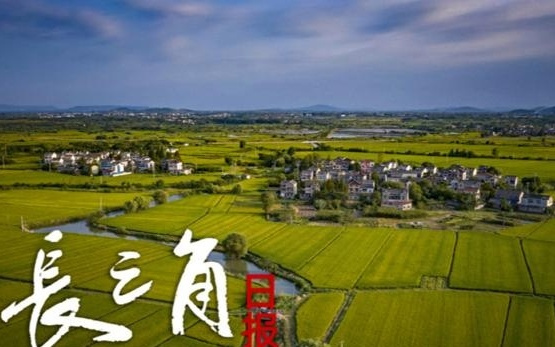 【长三角日报】阿里成立Token Foundry事业部,涉及一批AI业务