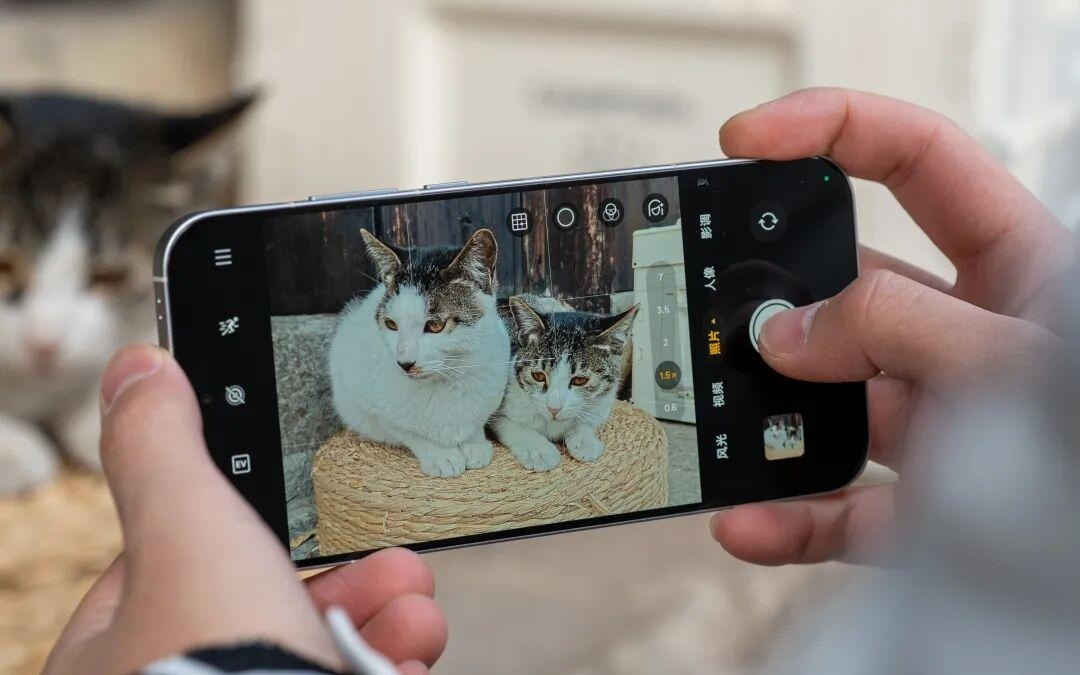 真我不装了，刚发布的新手机居然支持OPPO售后了。。。