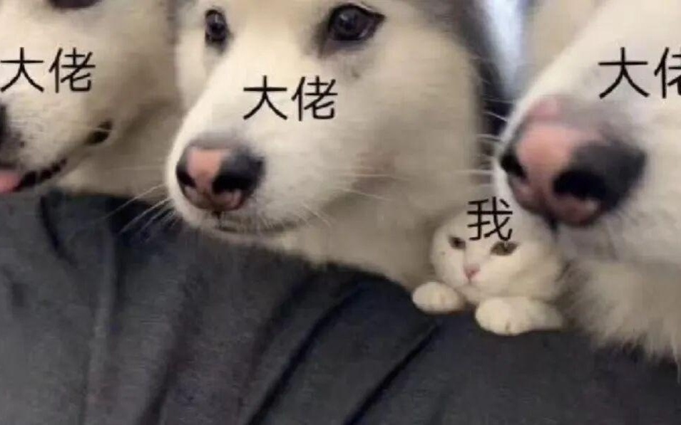 在小红书排队被拷问，科技圈搞起了一种很新的团建。。。