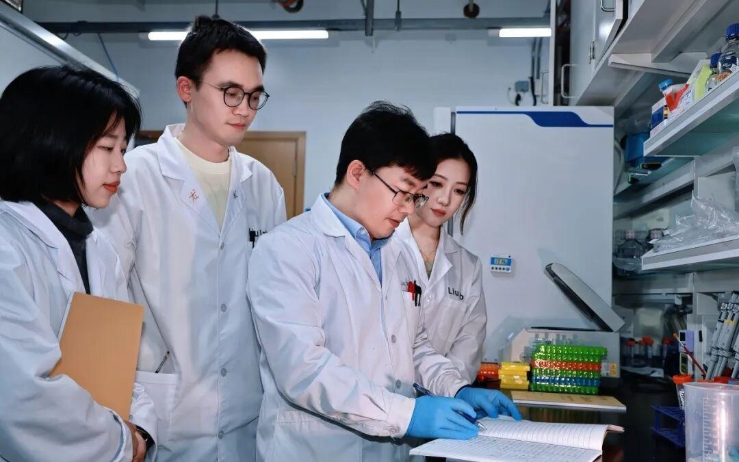 2篇Science齐发，复旦脑科学领域新突破！