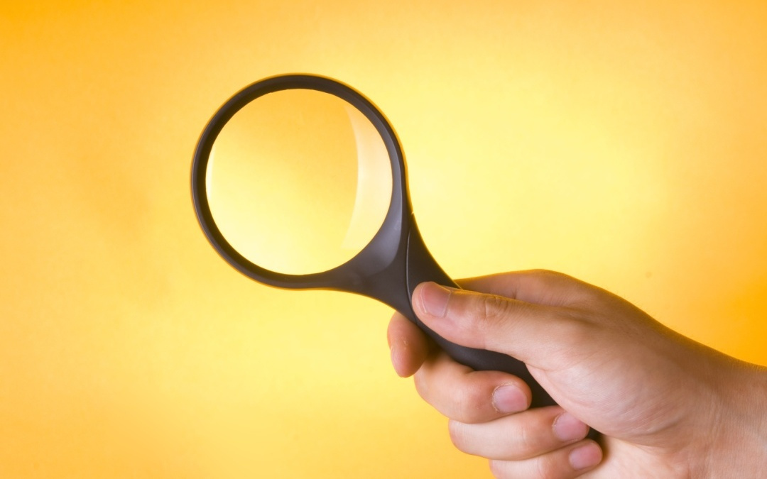 “龙虾”生意经：有人卖铲，有人卖艺，有人做保镖