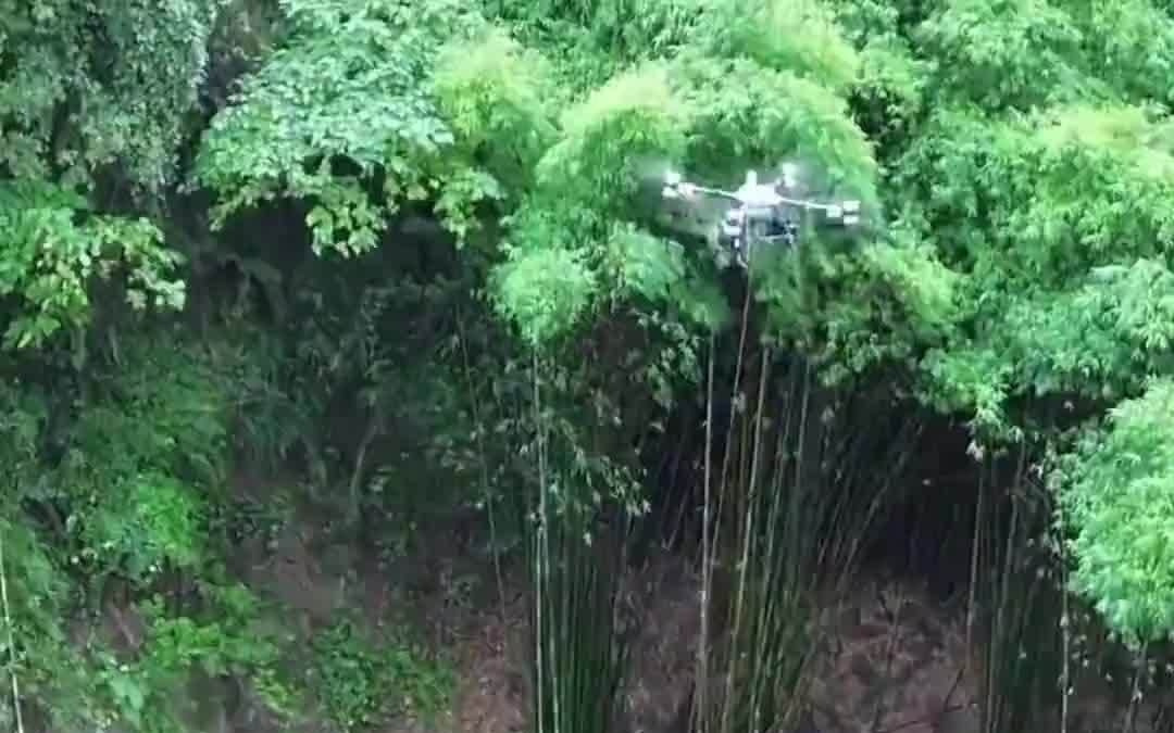 四川“00后”团队创新使用无人机吊运竹，单日运量达10吨