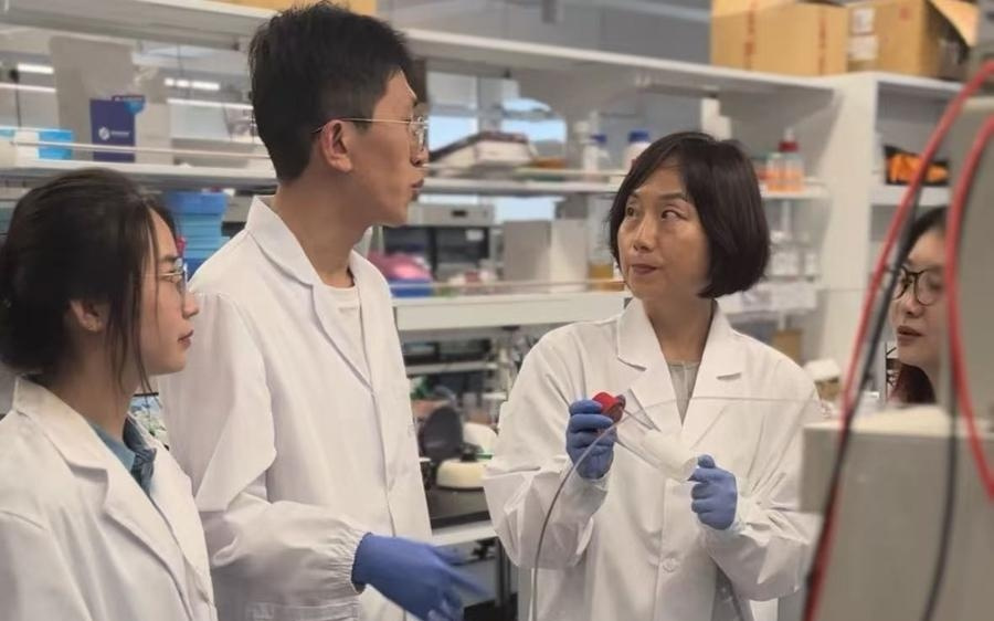 《自然》罕见加急发表！上海科学家揭开最忙“细胞工厂”高效加工之谜