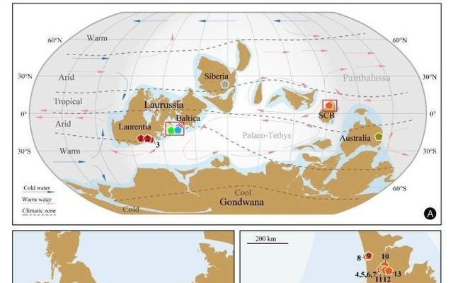 全球种子植物3.6亿年前如何大爆发？中国团队最新研究探寻谜底