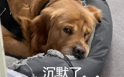 为了吸引你买手机，厂商们已经开始在参数页上动起手脚了