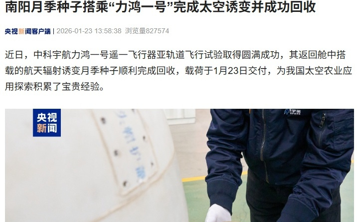 南阳月季种子搭乘“力鸿一号”完成太空诱变并成功回收