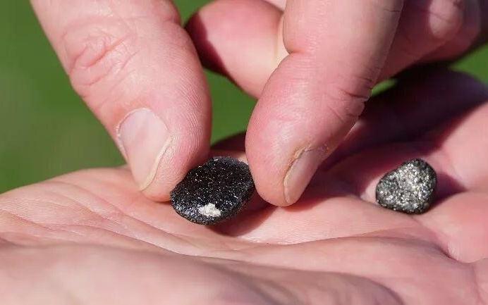 天降火球！3月德国、美国接连被砸，这世界怎么了？